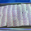 У Києві СБУ викрила злочинців з підробленими банкнотами