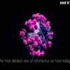 В Індії виявили нову мутацію коронавірусу