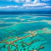Большой Барьерный риф под угрозой исчезновения: ученые в панике