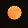 У світі могли спостерігати "полуничний" місяць