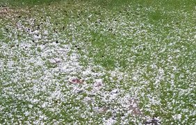 Под Киевом гигантский град наделал беды: побиты машины и огороды (фото) 