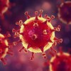 Древний коронавирус: ученые совершили сенсационное открытие