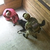 Центр у Житомирі готує службових собак до пошуку злочинців