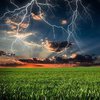Дождь и грозы: синоптики дали прогноз погоды на 1 июля