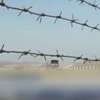 Біля кордону Таджикістана впав киргизький вертоліт