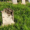 В Ужгороде вандалы разгромили еврейское кладбище (фото) 