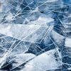 Десятки тысяч лет во льдах: "воскрешено" уникальное животное  