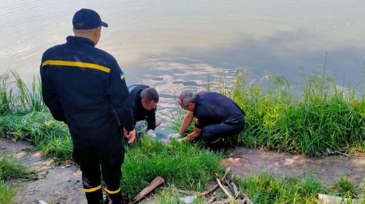Из озера выловили тело мужчины/ Фото: kiev.informator.ua