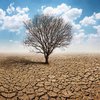 Катастрофические изменения: ученые встревожили заявлением о климате