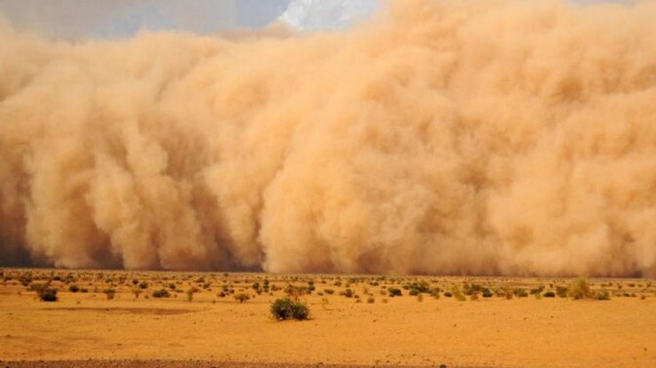 Пылевое облако из Сахары/ Фото: dumskaya.net