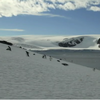 Температура в Антарктиді встановила новий рекорд