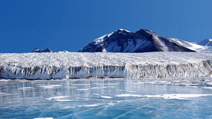 Антарктика/ Фото: riafan.ru