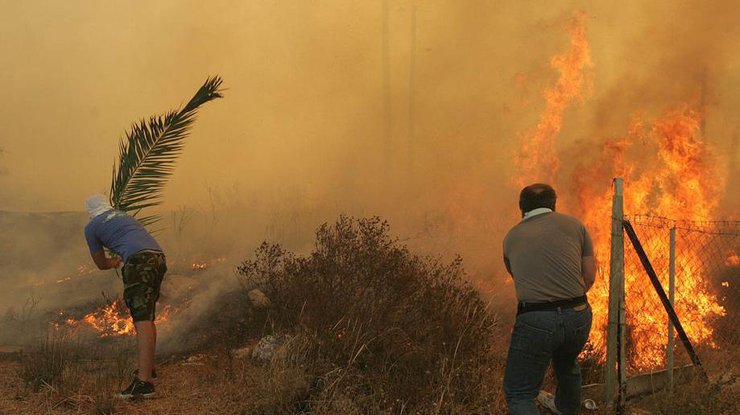 На Кипре горят леса/ Фото: spiegel.de