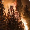Непогода у світі: США потерпає від лісових пожеж
