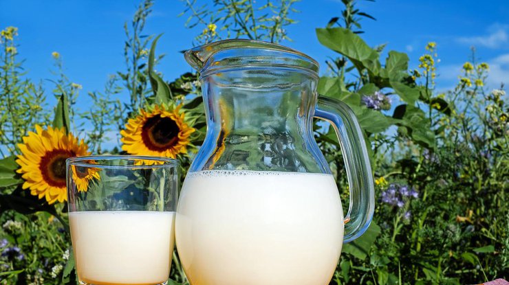Молочные продукты/ Фото: pixabay.com