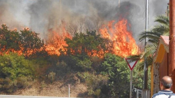 Пожары на Сардинии/ Фото: korrespondent.net