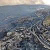 В Турции из-за лесных пожаров начали эвакуировать отели (видео) 