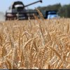 Украинским аграриям повысили налог на импорт