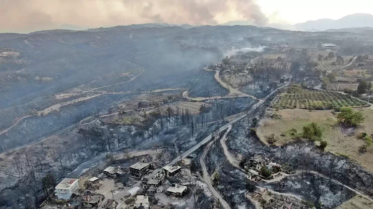 Последствия лесных пожаров в Анталье