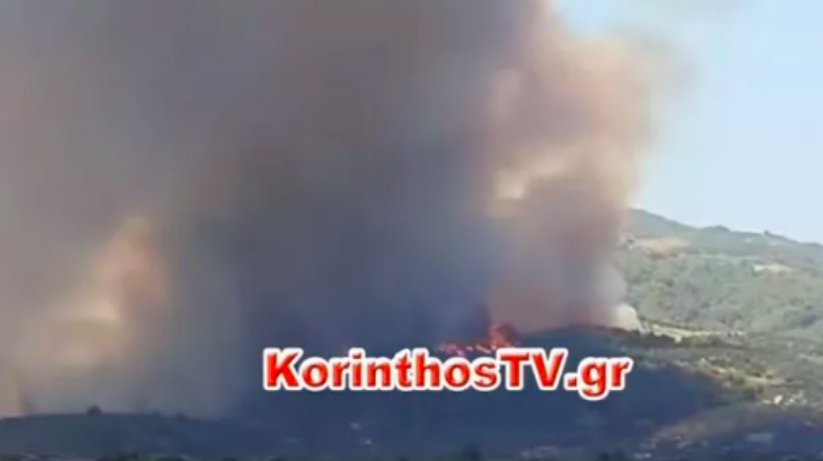 Фото: пожар в Греции / скриншот