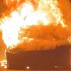 Tesla пыталась сжечь водителя заживо (фото)