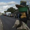 В Мозамбике в дорожной аварии погибли 31 человек