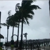Надзвичайний стан у США: країна очікує ураган "Ельза"
