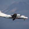 Крушение Ан-26 на Камчатке: тела погибших начали доставать из воды