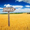 Рынок земли в Украине: где больше всего покупают участков