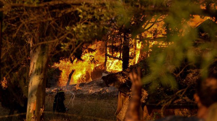 В Греции горит лес/ Фото: twitter.com/TRTWorldNow