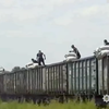 На Запоріжжі бандити обкрадали вантажні потяги