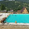 У Карпатах корова-невдаха викупалася у басейні (відео)