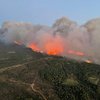 Во Франции "зверствуют" масштабные лесные пожары (видео)