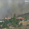 Дитячий табір поблизу Афін опинився на шляху лісової пожежі