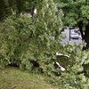 Во Львове прошел разрушительный ураган (видео)