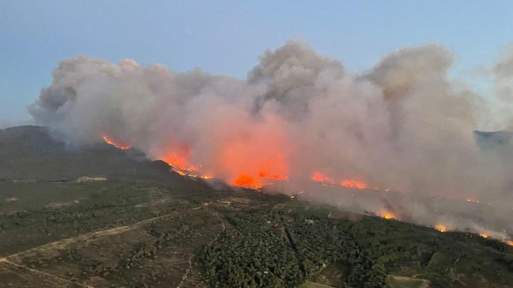 Лесные пожары во Франции/ фото: Twitter