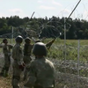 Польща розширить паркан на кордоні з Білоруссю