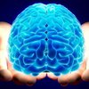 "Искусственный" мозг: ученые провели уникальный лабораторный эксперимент