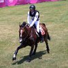 Спортивная трагедия: на Олимпиаде лошадь получила смертельную травму