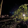 Во Львове во время урагана погибли парень и девушка