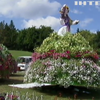 На Співочому полі Києва відкрили масштабну квіткову виставку