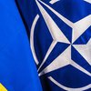 "Крымская платформа": кто представит НАТО на саммите