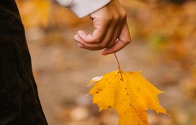Какой будет погода в сентябре: синоптики дали прогноз 