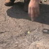 Війна на Донбасі: по Травневому гатили з гранатометів