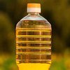 Цены на подсолнечное масло в Украине бьют рекорды: что ждет осенью