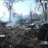 Лісові пожежі у Хорватії впритул наблизилися до житлових будинків