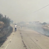 В Албанії спалахнули лісові пожежі