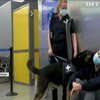 У французькому будинку для літніх людей собаки допомагають виявляти хворих на коронавірус