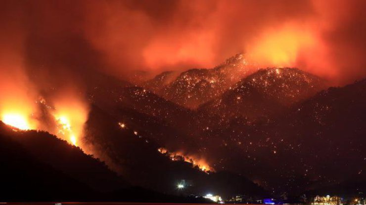 Лесные пожары в Турции/ фото: Фокус