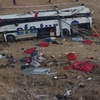 В Турции автобус вылетел с трассы: много погибших (фото, видео) 